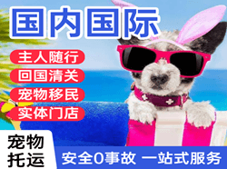 芒市机场托运国际宠物托运 【国